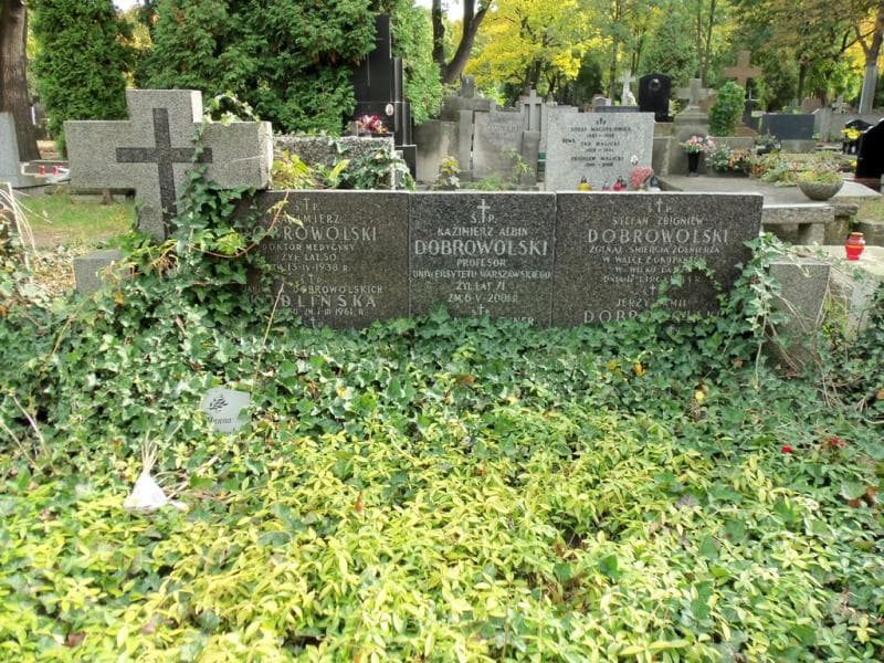 Zdjęcie grobu Hanna Dobrowolska (2)