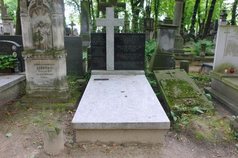 Zdjęcie grobu Henryk Brzuski (1)