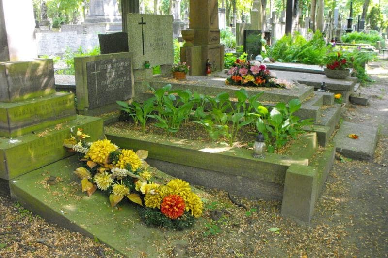 Zdjęcie grobu Zofia Afanasjew (1)