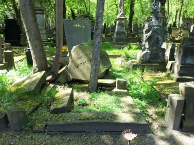 Zdjęcie grobu: ... Fontaliński