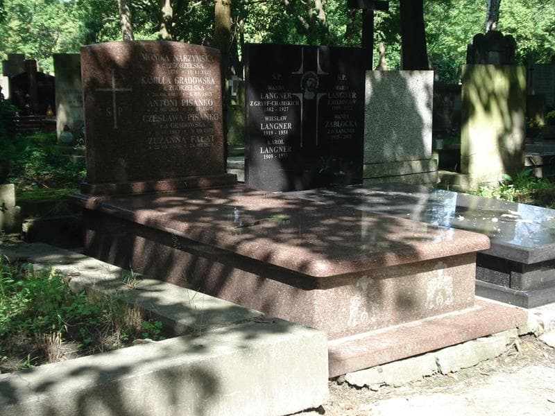 Zdjęcie grobu Antoni Pisanko (1)