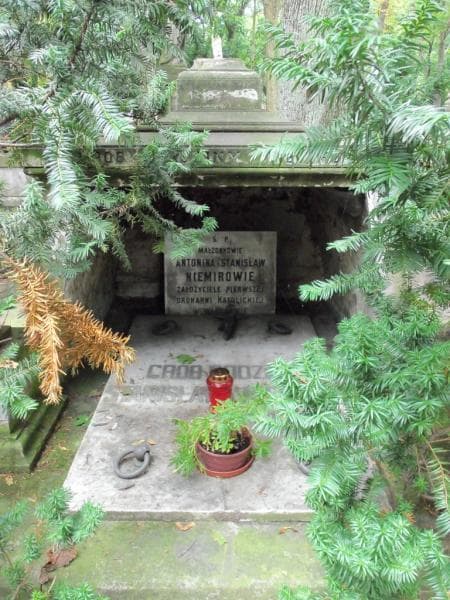 Zdjęcie grobu Wacław Niemira (2)