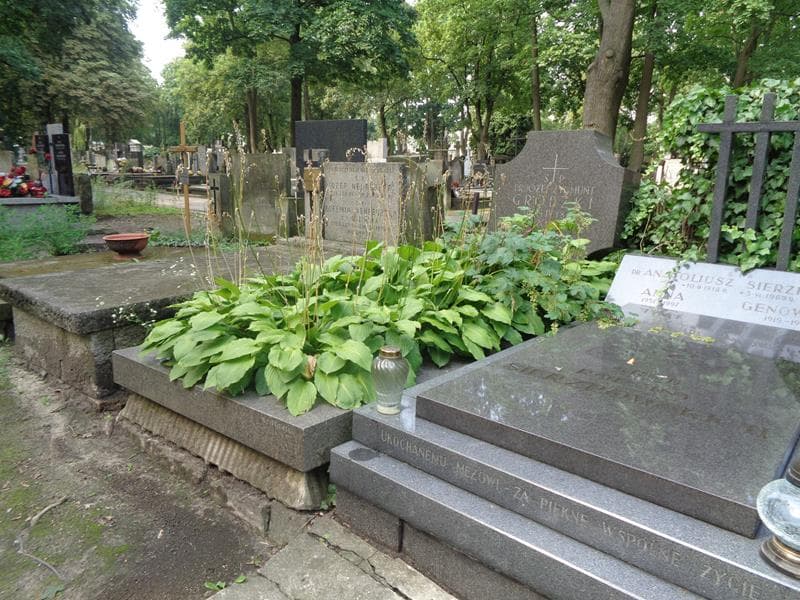 Zdjęcie grobu: Marja Billewicz
