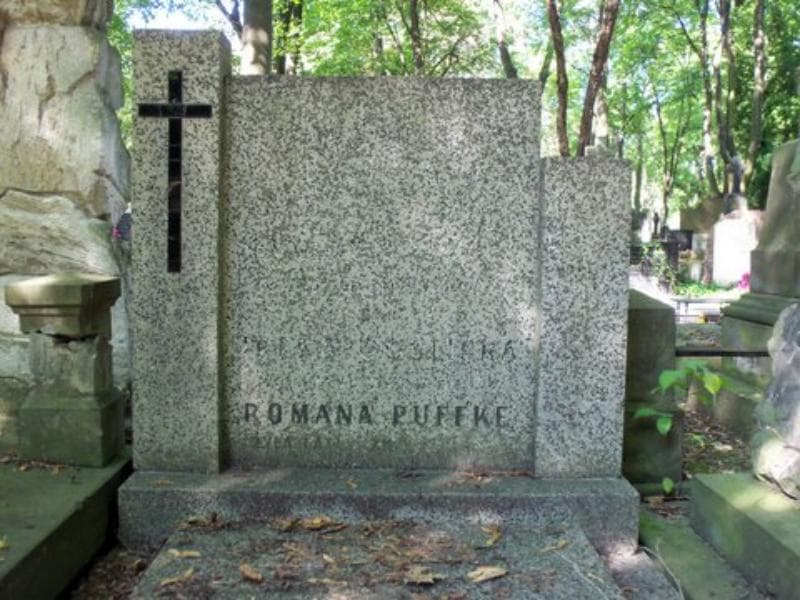 Zdjęcie grobu Edward Goślicki (2)