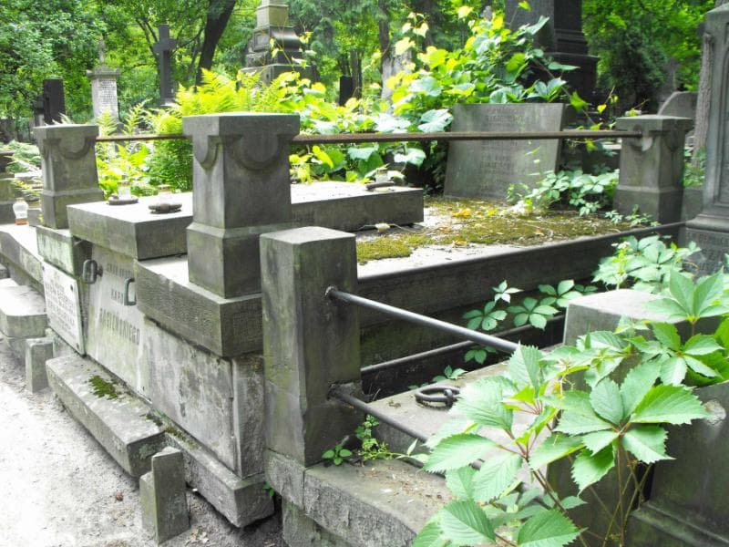 Zdjęcie grobu Władysława Bagieńska (1)