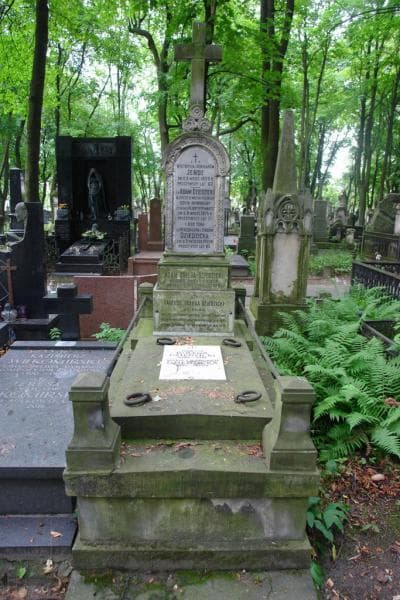 Zdjęcie grobu Tadeusz Dołęga Dziedzicki (1)