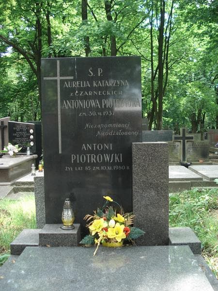 Zdjęcie grobu Antoni Piotrowski (1)