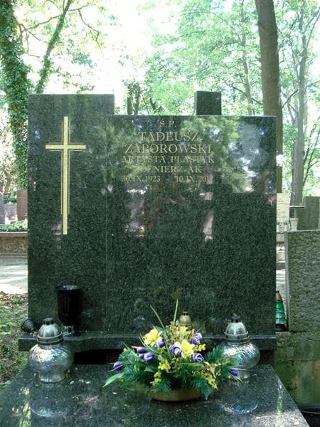 Zdjęcie grobu Tadeusz Zaborowski (1)