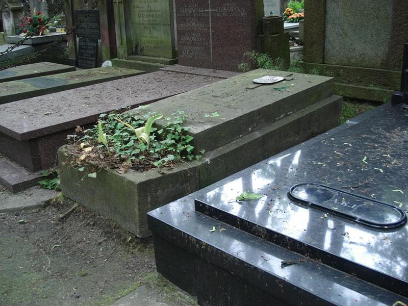 Zdjęcie grobu Józef Trautman (2)