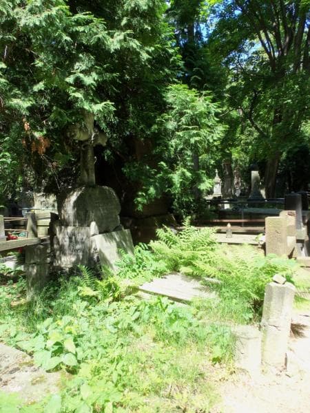 Zdjęcie grobu Bronisława Plewińska (1)