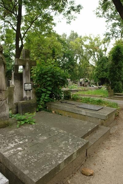 Zdjęcie grobu: Józefa Cieślińska