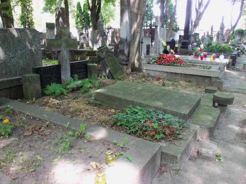 Zdjęcie grobu: Mieczysław Czyżewski