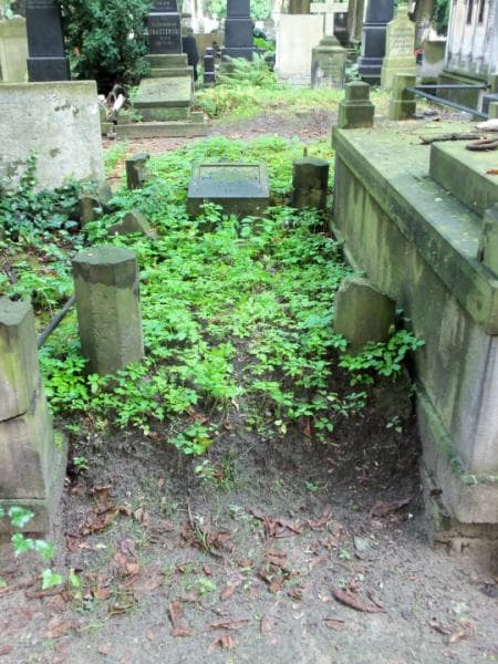 Zdjęcie grobu: Władysław Ponikwicki