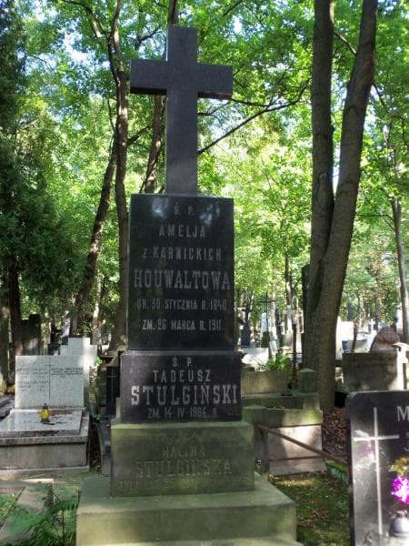 Zdjęcie grobu Tadeusz Stulgiński (2)