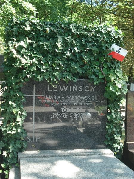 Zdjęcie grobu Tadeusz Lewiński (2)