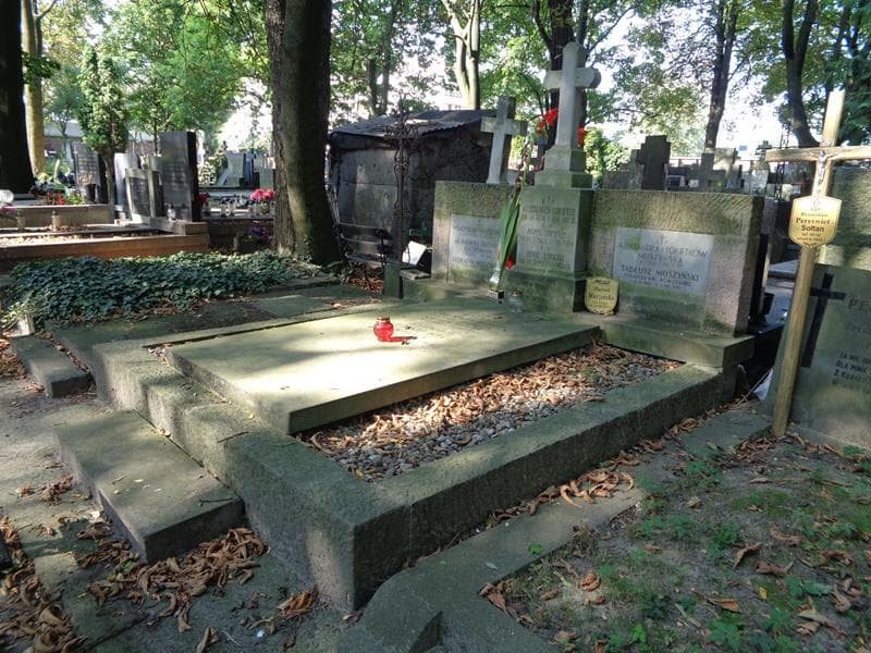 Zdjęcie grobu: Irmina Budnik - Kowalska