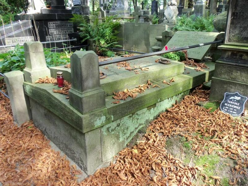 Zdjęcie grobu Stanisław Colonna Walewski (1)