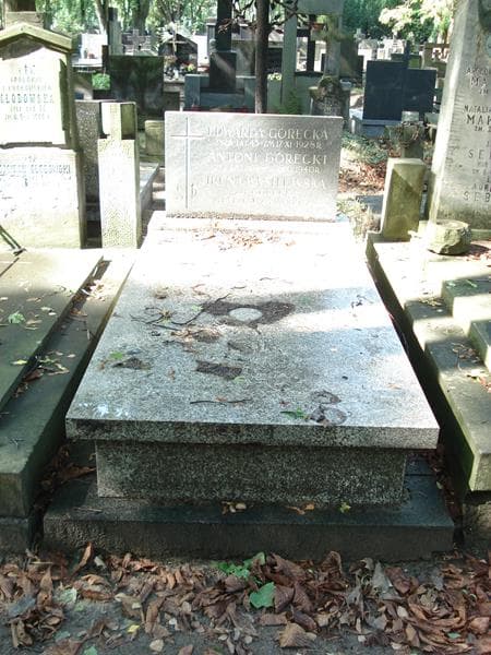 Zdjęcie grobu Edwarda Górecka (1)