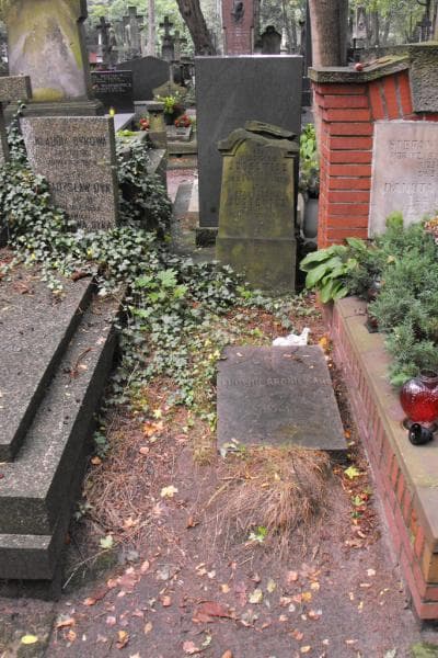 Zdjęcie grobu: Ludwik Broniewski