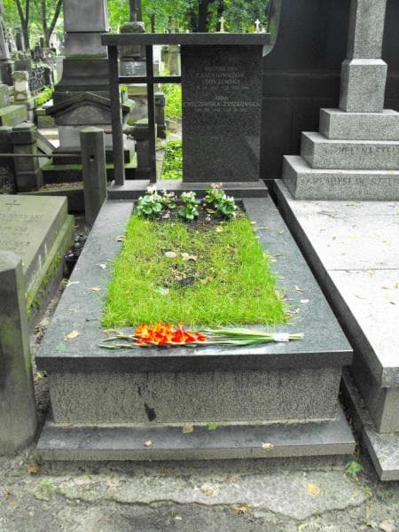 Zdjęcie grobu: Bronisława Chyczewska