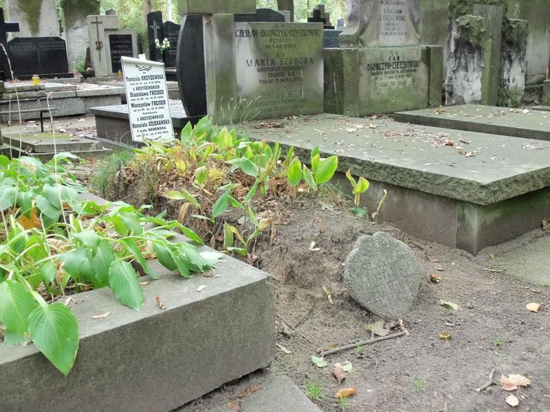 Zdjęcie grobu Toniusia Krzyżewska (1)