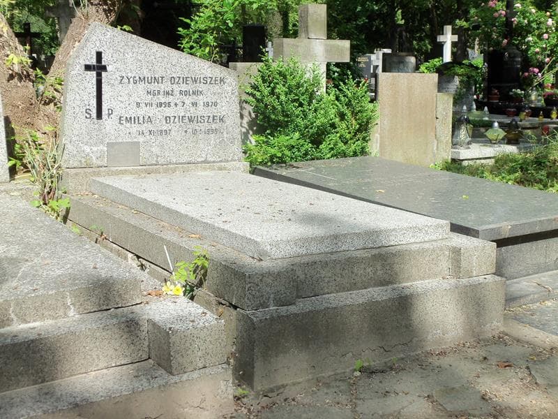 Zdjęcie grobu Zygmunt Dziewiszek (1)