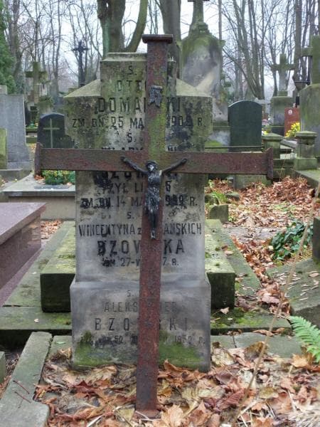 Zdjęcie grobu Aleksander Bzowski (2)