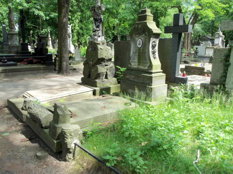 Zdjęcie grobu Wiktorja Towarnicka (1)