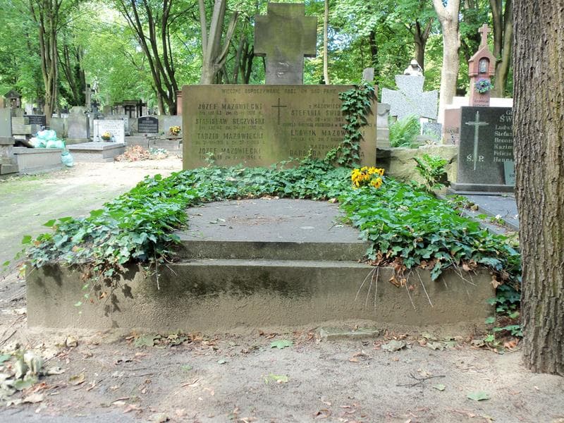 Zdjęcie grobu: Wacław Dominik Albiński
