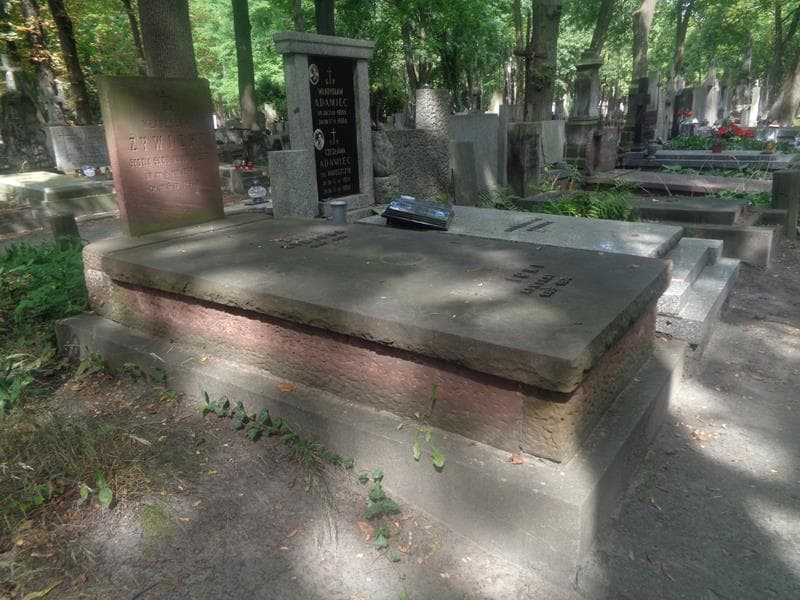 Zdjęcie grobu: Władysław Żywicki