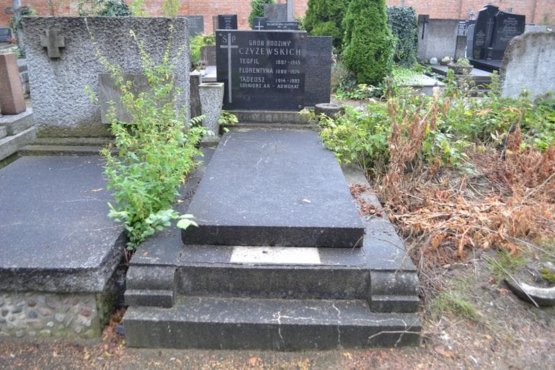 Zdjęcie grobu Tadeusz Czyżewski (1)