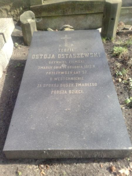 Zdjęcie grobu Teofil Ostoja-Ostaszewski (1)
