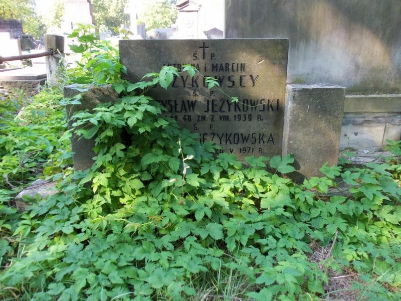 Zdjęcie grobu Władysław Jeżykowski (1)