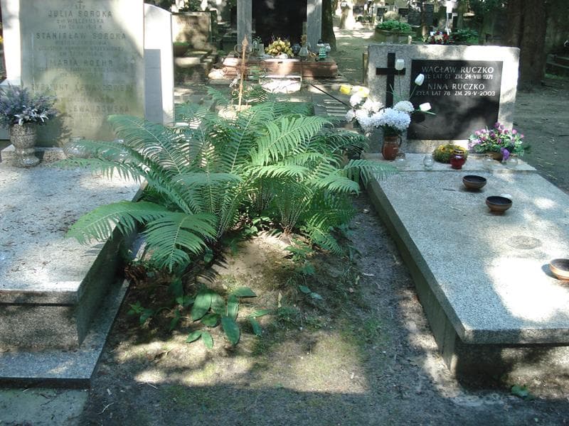 Zdjęcie grobu: Wojciech St. Doliński