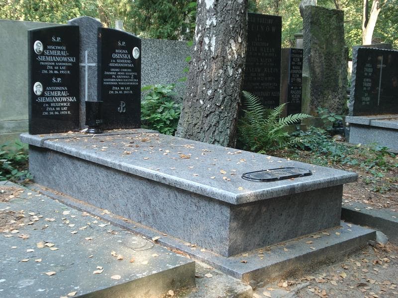 Zdjęcie grobu Mściwój Semerau-Siemianowski (1)