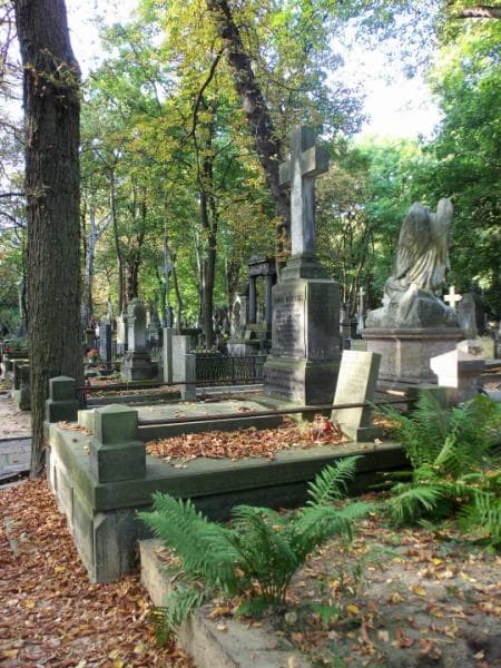 Zdjęcie grobu Aniela Wóycicka (1)