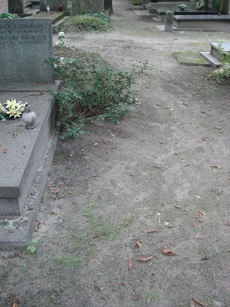 Zdjęcie grobu: Pole Grobowe