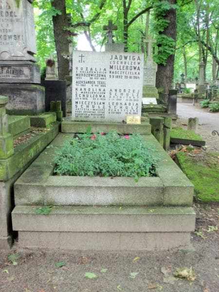 Zdjęcie grobu: Aleksander Texel