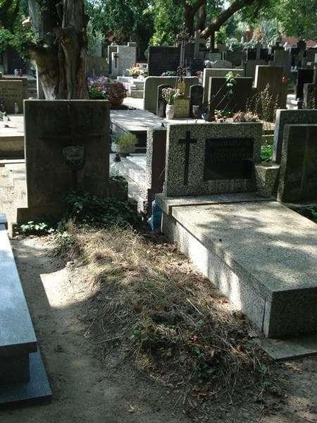 Zdjęcie grobu Mirosława Balukiewicz (1)