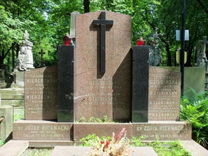 Zdjęcie grobu Apolinary Dziubiński (2)