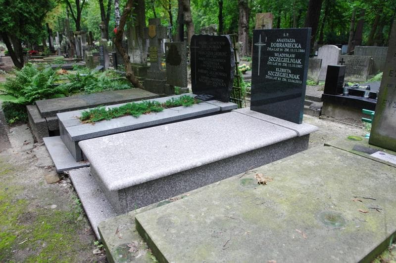 Zdjęcie grobu: Anastazja Dobraniecka