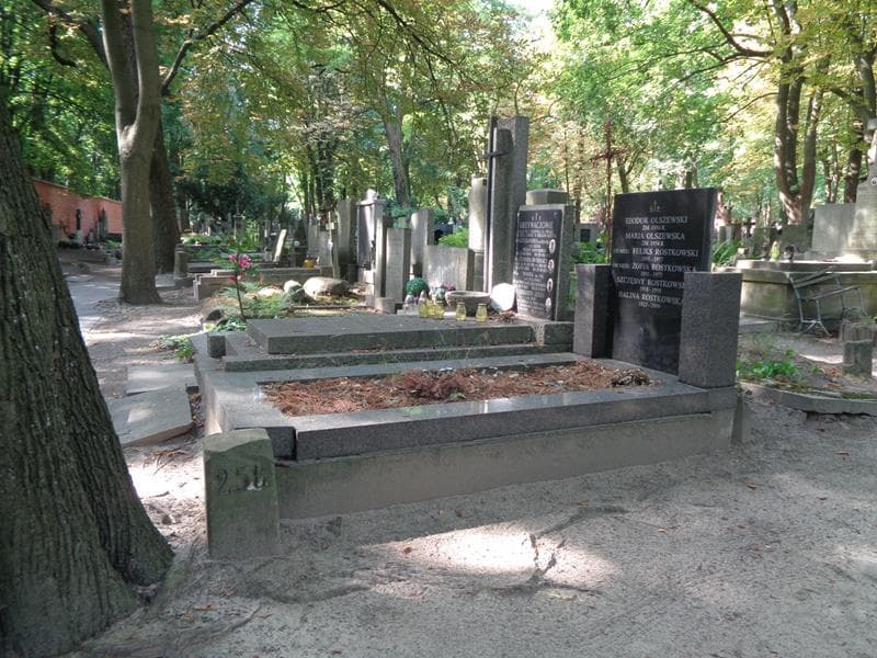 Zdjęcie grobu: Teodor Olszewski