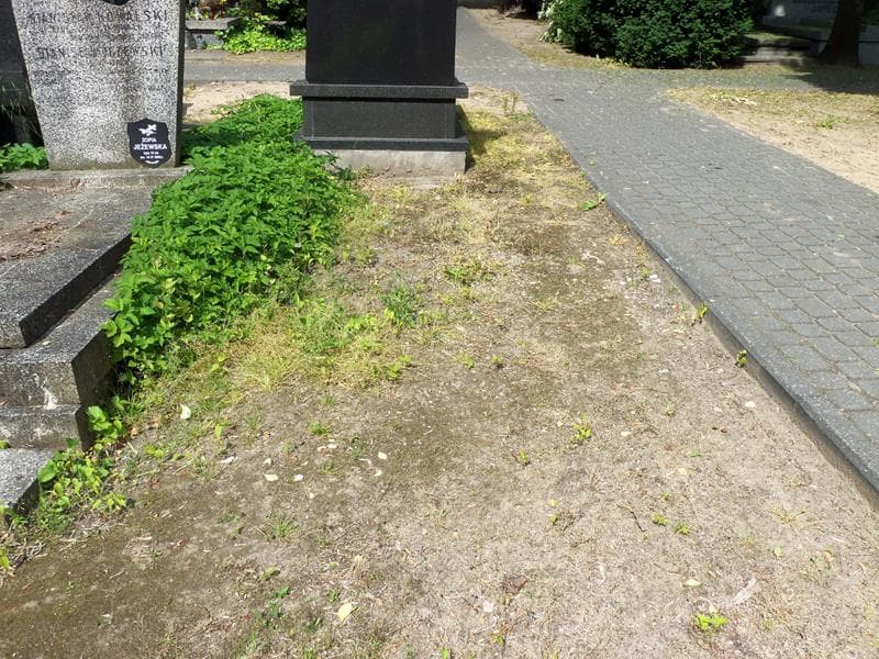 Zdjęcie grobu: Pole Grobowe