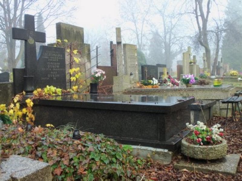 Zdjęcie grobu Stanisława Szczepaniak (1)