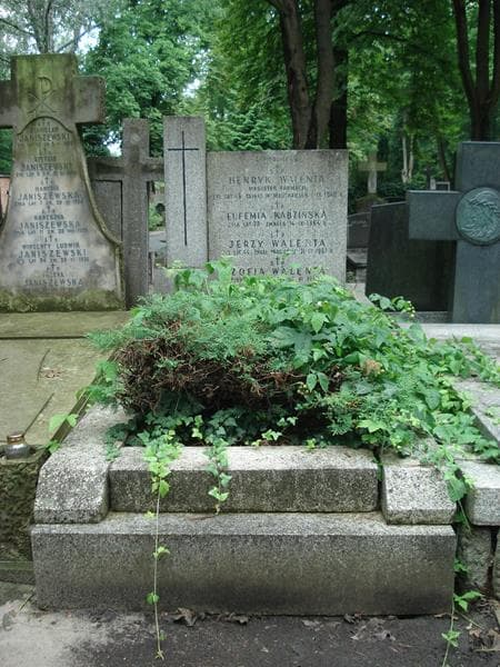 Zdjęcie grobu: Jerzy Walenta