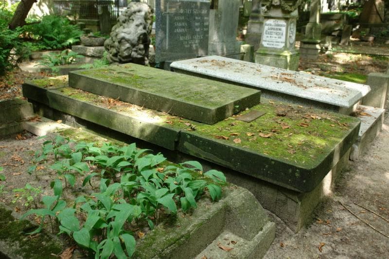 Zdjęcie grobu Andrzej Wolski (1)