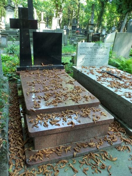Zdjęcie grobu Anonim (1)