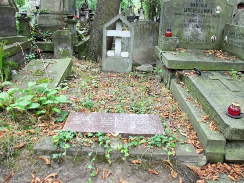 Zdjęcie grobu: Helena Sieniawska