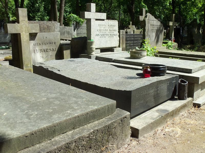 Zdjęcie grobu Aleksander Lubarski (1)