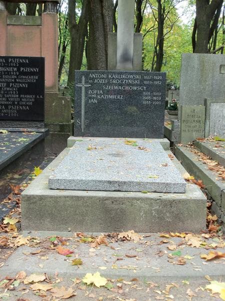 Zdjęcie grobu: Jan Szelwachowski